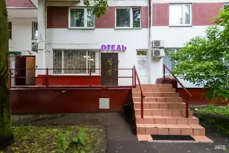 Сова Ленинский - 19