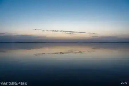 Тортуга - 9