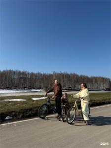 Гарнет Холидей Грин Форест - 208