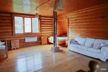 Гнездило-ВО! - 29