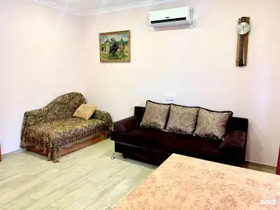 Киви и Цитрус - 105