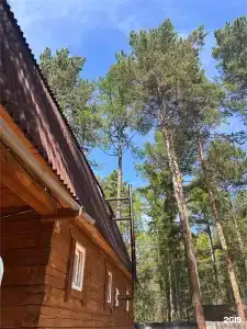 Теремок - 27