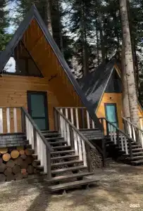 Wood palace - 94