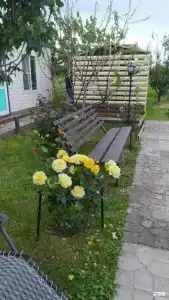 Звезда Азова - 6