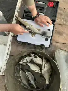 Дом на берегу четырех озер - 59