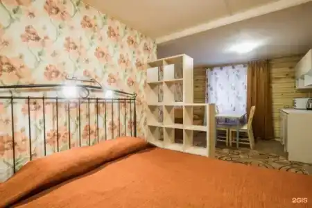 Спутник - 60