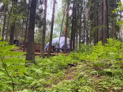 Villy Uley Karelia (Вили Улей Карелия) - 21