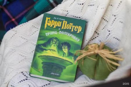 Гарри и Философский чан - 246