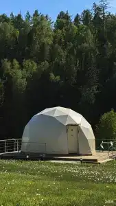 Кокса Парк - 113