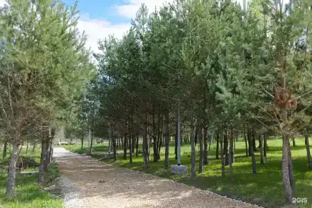 Заповедное - 24