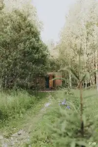 Два зайца - 32