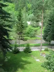 Старые друзья - 14