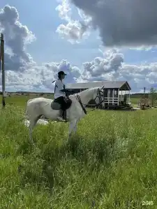 Дорские просторы - 75