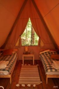 Мир Алтай - 109