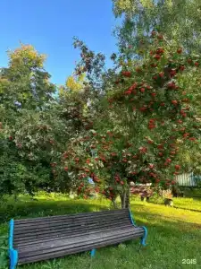 Ока - 12
