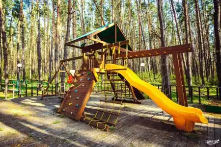 Донской лес - 31
