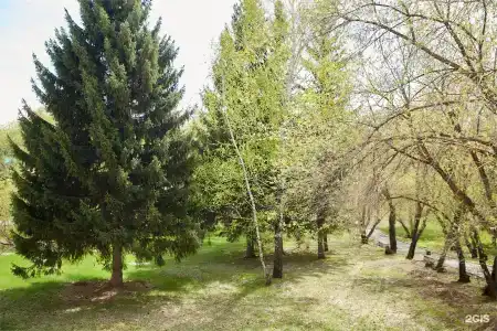 Сосновый бор - 102