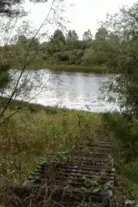 Дома лучше дома - 8