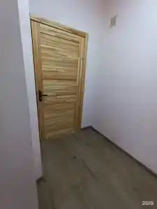 Эвкалипт - 18