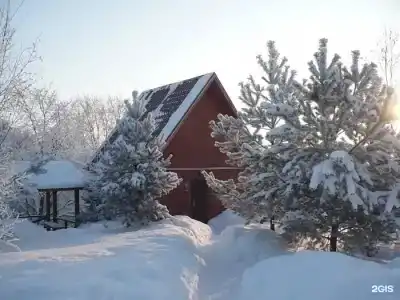 Клевер - 161
