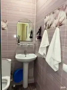 Бриз - 31