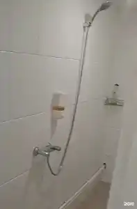 Фруктовый сад - 20