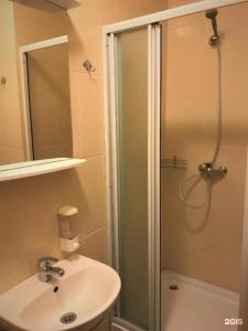 Крокус Стар - 75