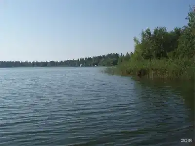 Прибрежный - 98