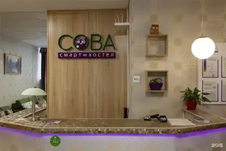 Сова - 69