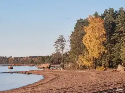 Олта - 8