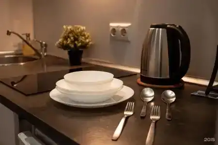 Ренуар студия на Каштановой, 6 - 77