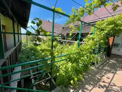 Лали - 3