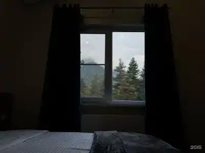 Три медведя - 78