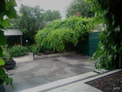 Диана - 10