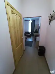 Эвкалипт - 77