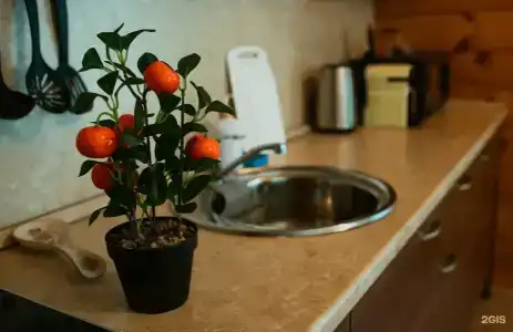 Вековые Сосны - 100
