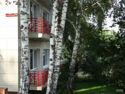 Рыжий пес - 1