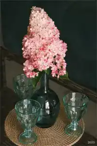 МурХаус - 27