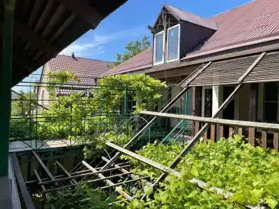 Лали - 1