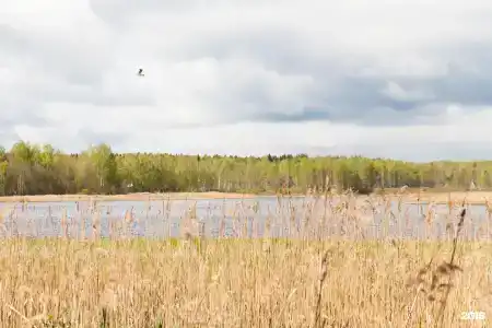 Сойма Парк - 11