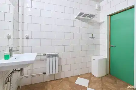 Зеленый - 100