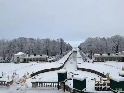 Вилерона - 22
