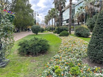 inSochi  - 29