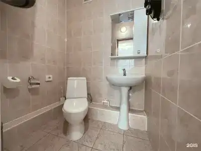 Звёздный - 217