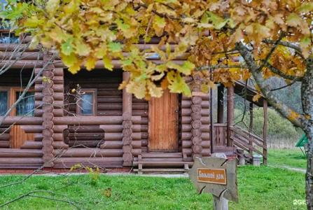 Сафари Парк - 243