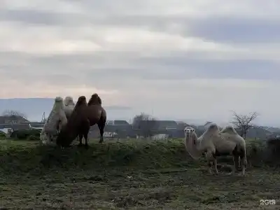 Беной Тревел Озеро - 11