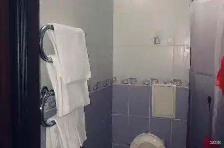 Пальма - 35