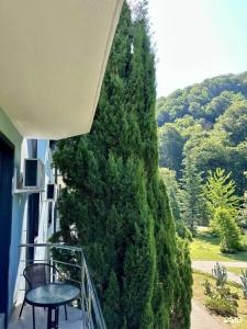 Saltykov Agoy Resort - 163