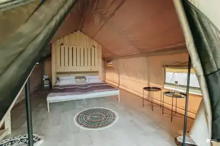 Тороли - 59