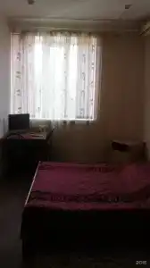 Папирус - 19